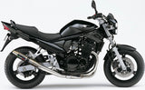 Système D'Échappement Homologué Au Niveau Sonore Deeptone Acier - Gpr Compatible Avec Suzuki Gsf 650 Bandit - S (2005-2006)