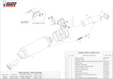 Système D'Échappement Homologué Au Niveau Sonore Gp Carbon - Mivv Compatible Avec Honda Hornet 600 (2007-2013)