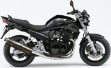 Système D'Échappement Homologué Au Niveau Sonore Trioval Acier - Gpr Compatible Avec Suzuki Gsf 650 Bandit - S (2005-2006)