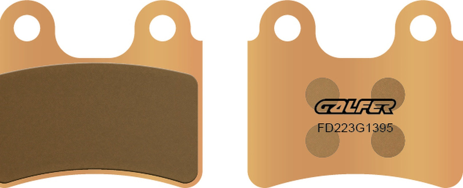 Rear Sintered Trial Brake Pads - Galfer Compatible With Ajp Enduro 250 (2005)