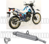 Système D'Échappement Non Catalysé Et Homologué Au Niveau Sonore Paris Dacar Acier Acier - Arrow Special Parts Compatible Avec Suzuki Dr 600 R (1985-1987)