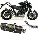 Système D'Échappement Homologué Au Niveau Sonore Race-Tech Carbon Carbon - Arrow Special Parts Compatible Avec Kawasaki Z 800 E (2013-2016)